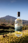 Little Brown Dog - Aberdeenshire Foraged Gin