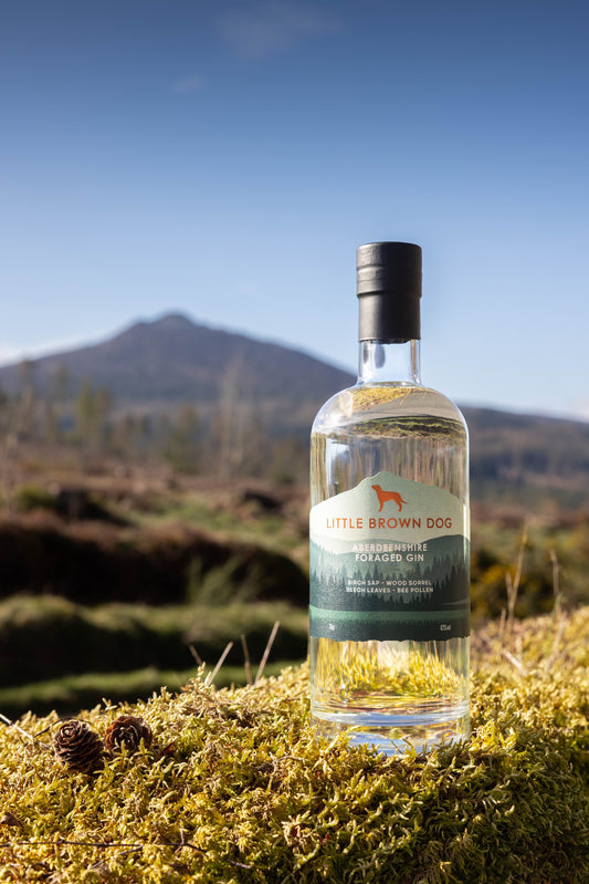 Little Brown Dog - Aberdeenshire Foraged Gin