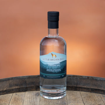 Little Brown Dog - Aberdeenshire Foraged Gin