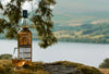 Tri Carragh - Dalrymple 10