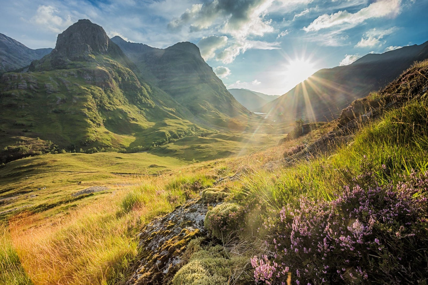 Highlands Whiskies