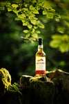Dram Mor - Auchroisk 16 Year - Bourbon Hogshead lifestyle