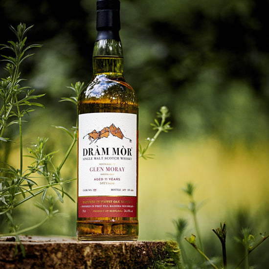 Dram Mor - Glen Moray 11 Year - Madeira Hogshead lifestyle