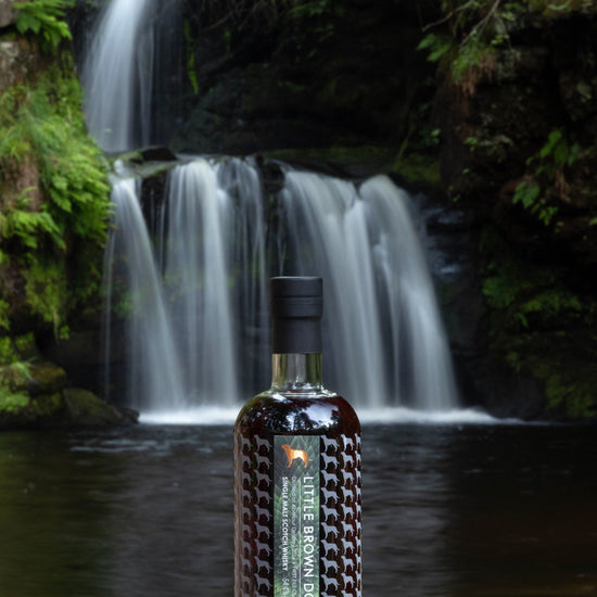 Little Brown Dog Aberlour 11 Year at the falls