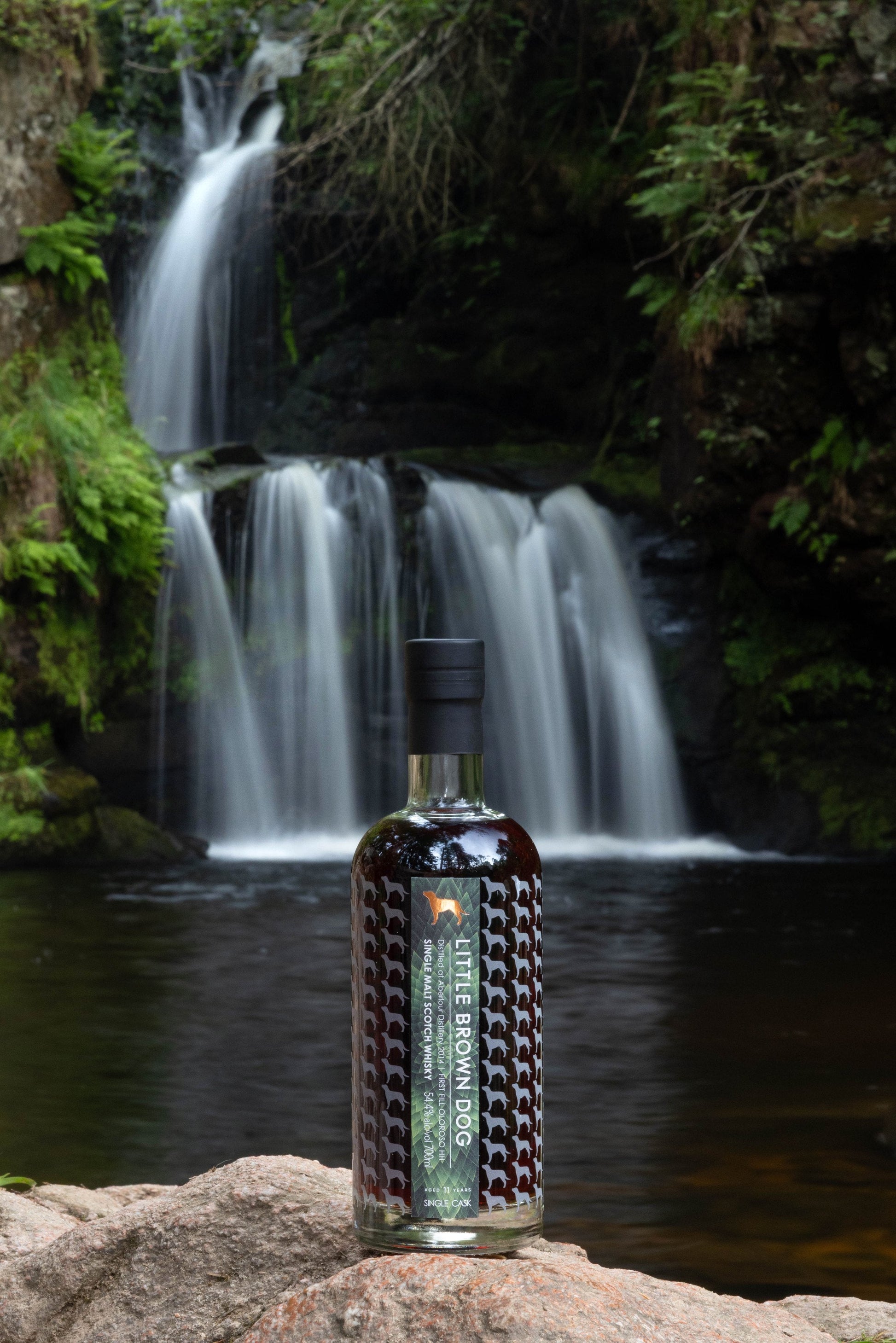 Little Brown Dog Aberlour 11 Year at the falls