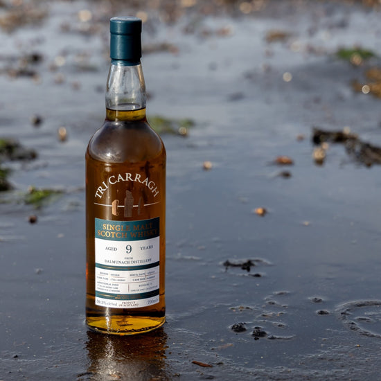 Tri Carragh Dalmunach 9 Year on the shore