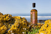 Little Brown Dog - Caol Ila 12 Year – Unpeated